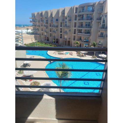 Princess resorts b217