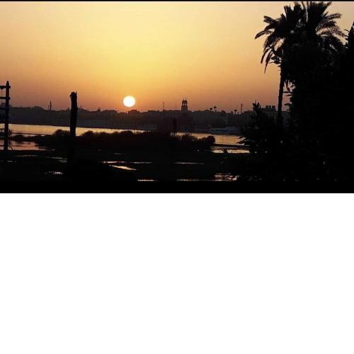 Pro Luxor guest house