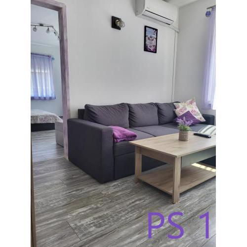 Purple StudioS