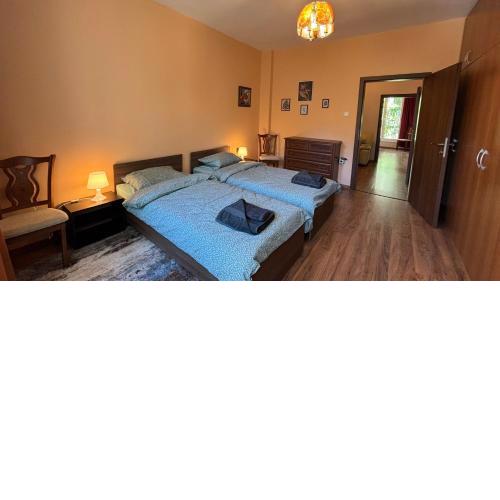 Quiet 2 bedrooms downtown apart