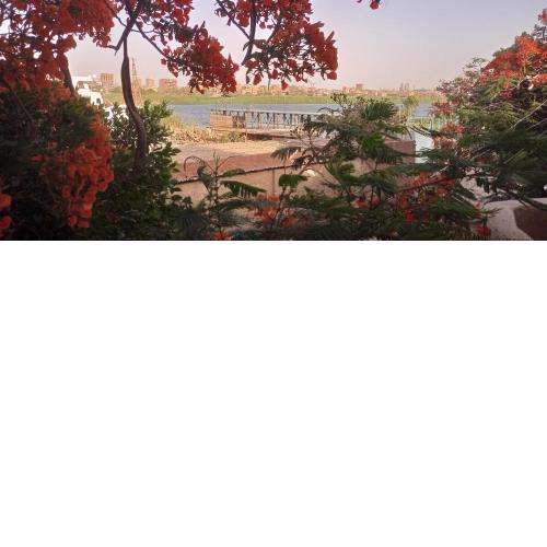 Quiet house on the Nile River