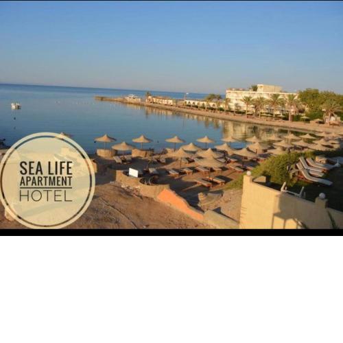 Red sea apartment hotel