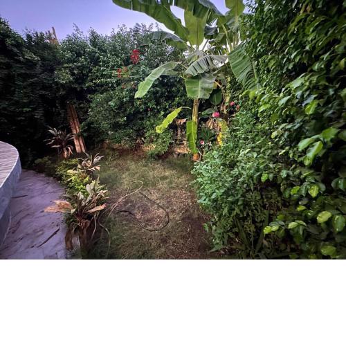 Rehab 2, Gate 24, private Garden