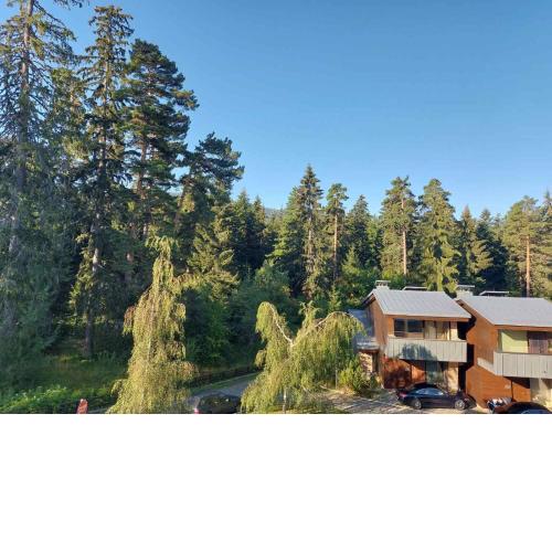 Residence E205 Euphoria Borovets