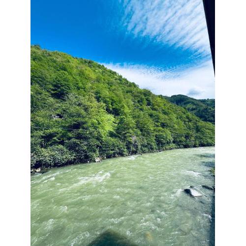 River House
