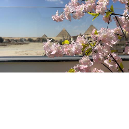 Rizk Pyramids View Hotel