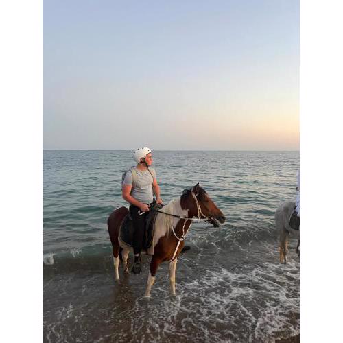 rodeo horse club