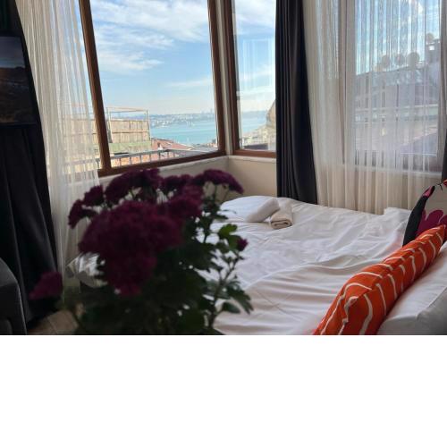 Roj Suite
