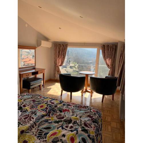 Romantic view Asenevtsi