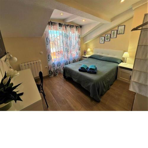 Rooms San Marcos