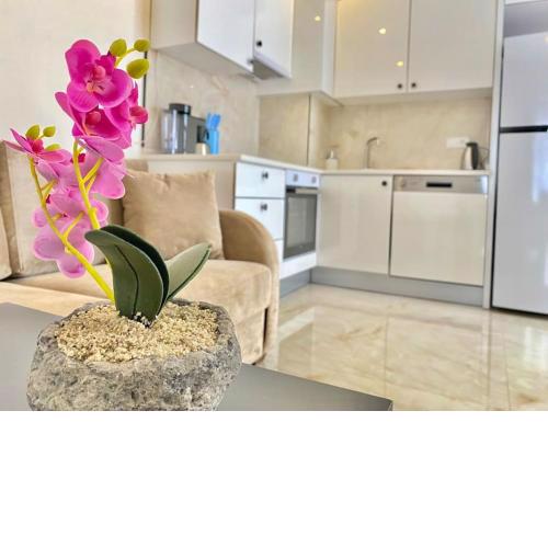 Rose 6 Comfort living at Cleopatra