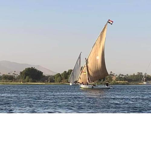 Rose travel_trips