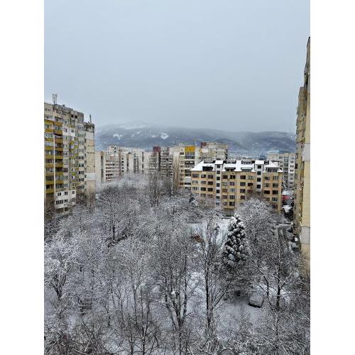 Rose's apartment , Mountain View, self check-in, close to metro, park, stores, family-friendly