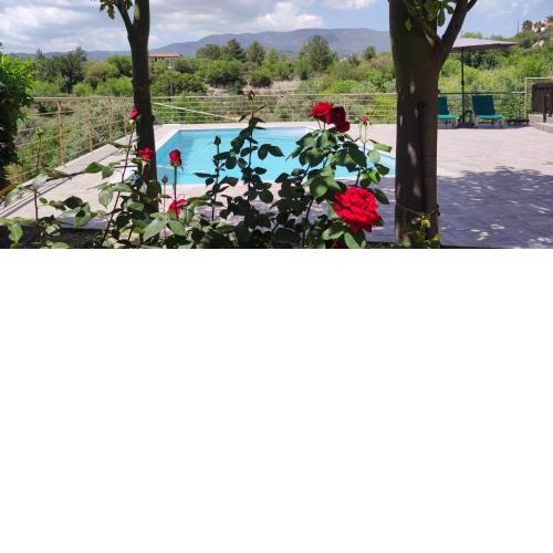 Roses Villa