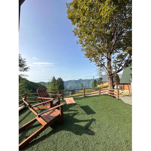 Rota Dağ Evi Rize