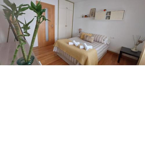 Rúa dos Concheiros, 7 Apartamento
