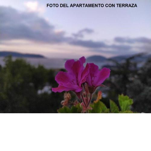Rua Granxas, n 13, Piso con terraza o Estudio sin terraza