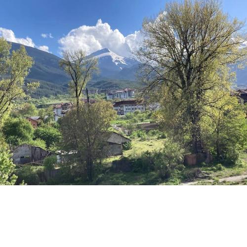 Ruhig in den Bergen Bulgariens