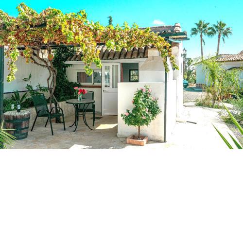 Rural cottage in holiday park with 55 m2 pool