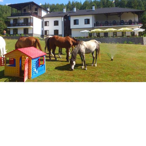 Rusaliite Adventure House