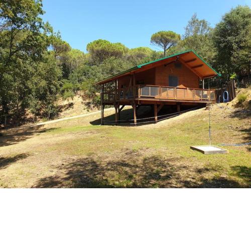 Rustic Cabin in the Woods/Cabaña en el bosque