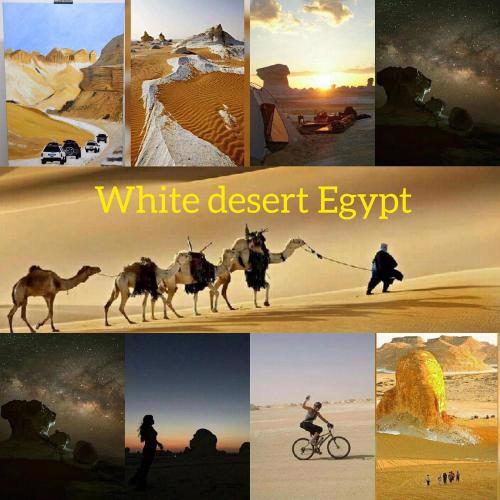 safari desert