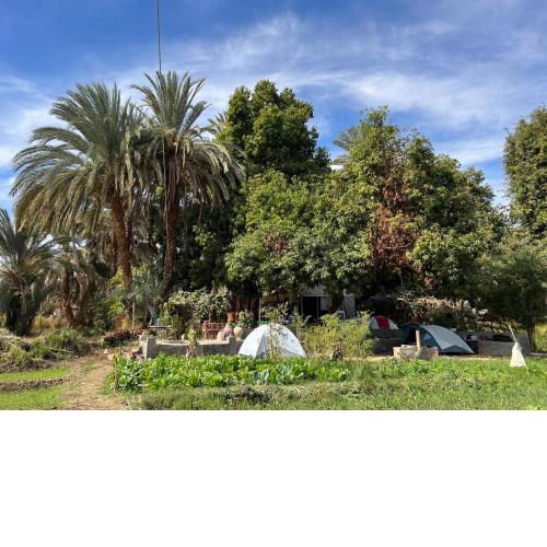 Salatoos Mango Garden and Guesthouse