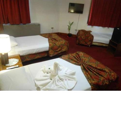 Salvatore Room -Cairo Downtown