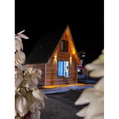 Şampiyon bungalow 2