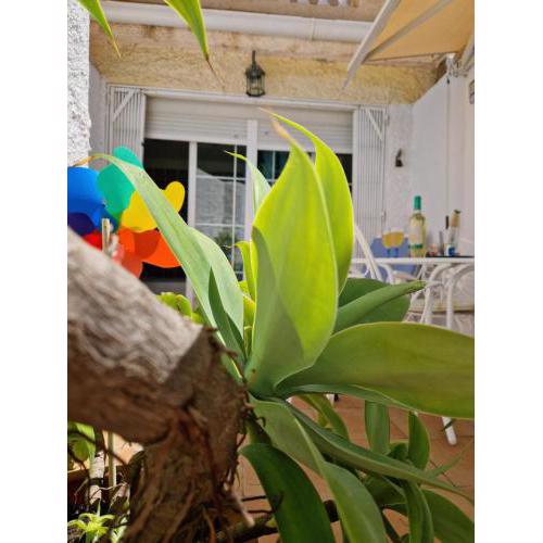 San Antonio - Beach, pool and terrace
