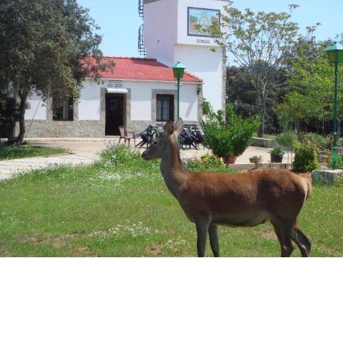 San José