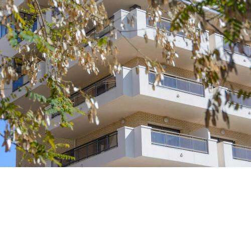 Sant Jordi Zeus Basic
