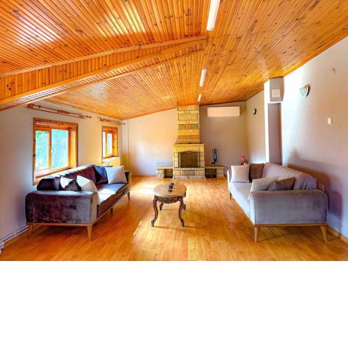 Sapanca orman içinde özel villa