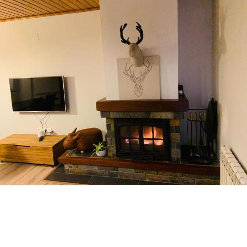 Saplan Real Estate IRISSA