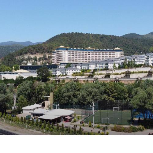 Sarot Thermal Palace Tatil Köyü - Halal Hotel