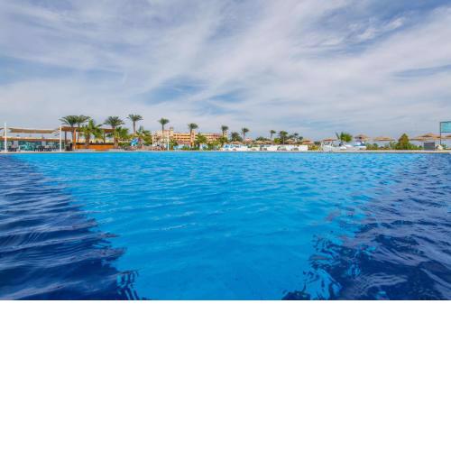 scandic resort 647