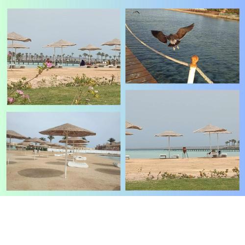 Scandic Resort: Comfy & Cozy. A433