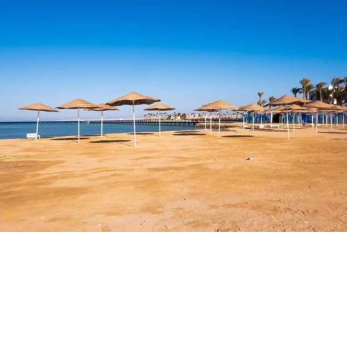 Scandic resort منتجع سكانديك
