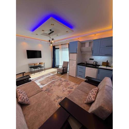 Sea Life Homes