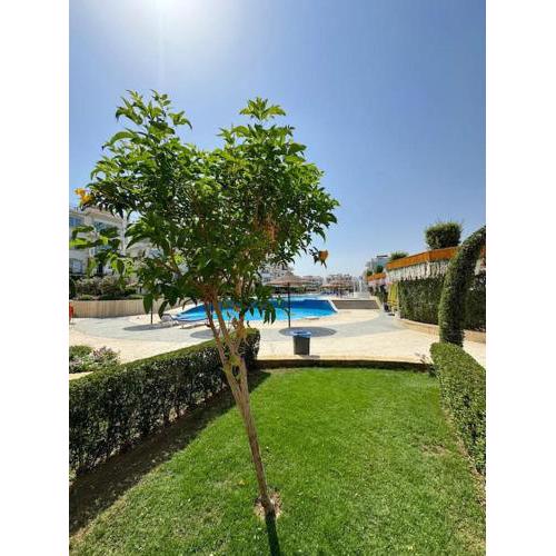 Serenity Studio -Sharm El-Sheikh