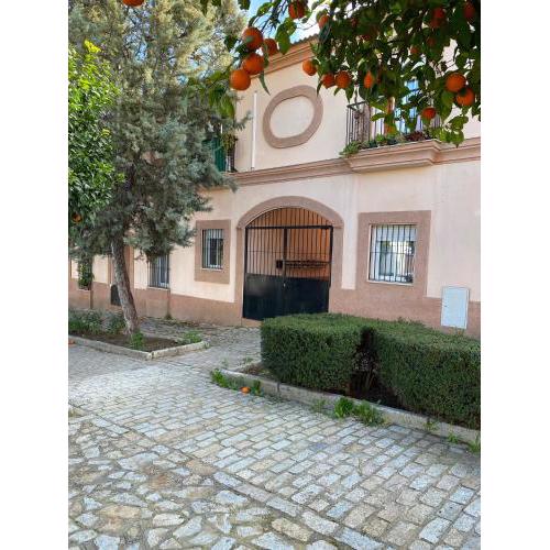 Sevilla. Gerena Casa Rural para familia o profesionales