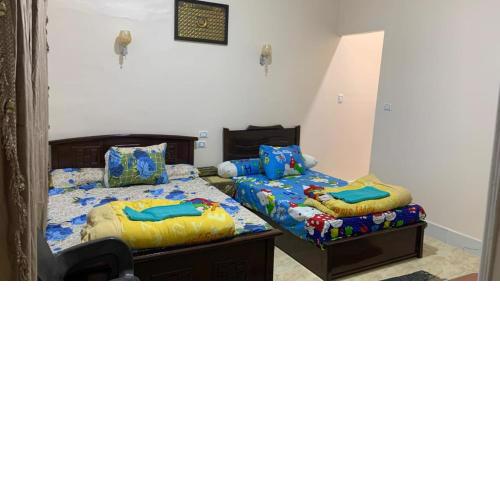 Shaer House