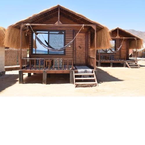 Shanty beach camp suer