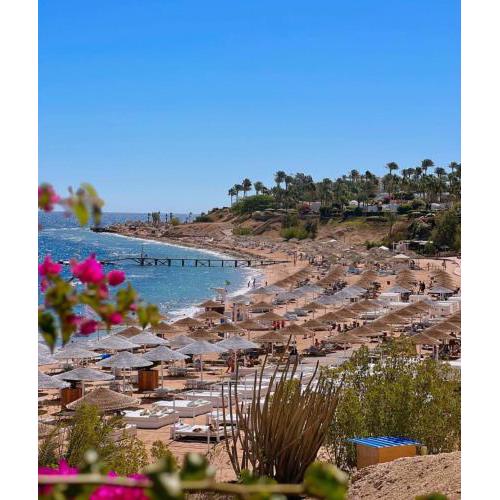 Sharm Prestige Room 52 - Luxury sea view at coral bay