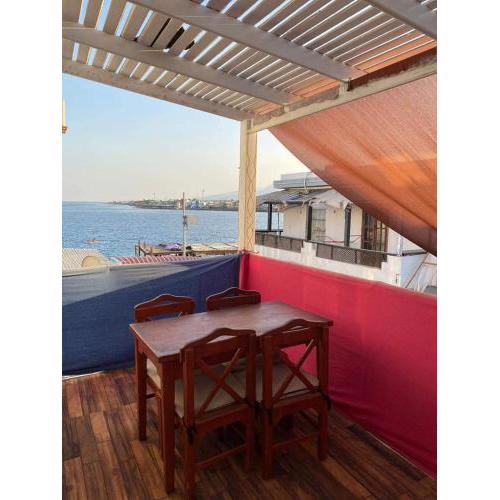Shrimpoo Dahab