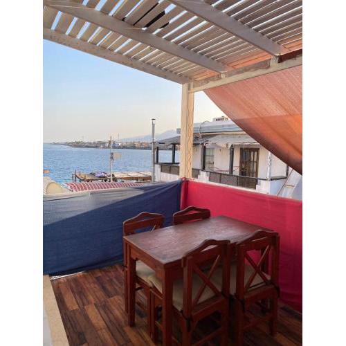 Shrimpoo Dahab