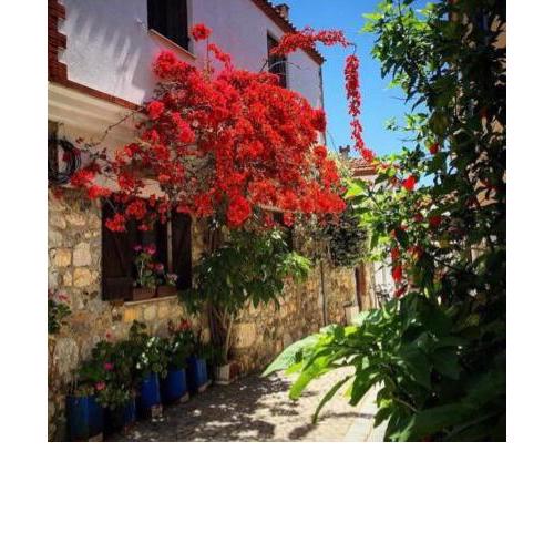 Sığacık Kaleiçi Taş Ev