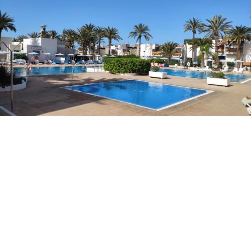 SIMPLE Apartment Frontera Primavera POOL in South TENERIFE