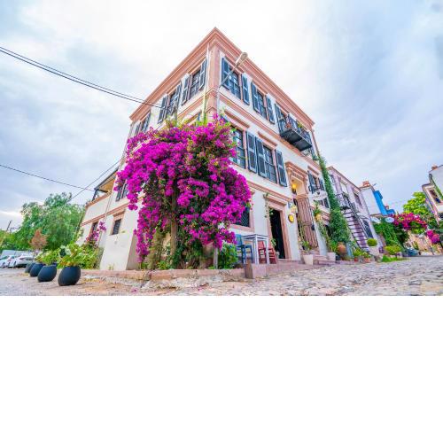 Siyah Lale Cunda 1841