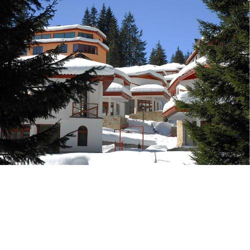 Ski Villa in Pamporovo Forest